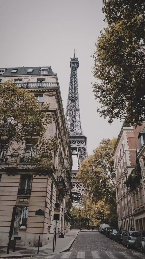 Video of Fetti India at Who's Next fashion trade show (Jan 17-19) at Porte de Versailles